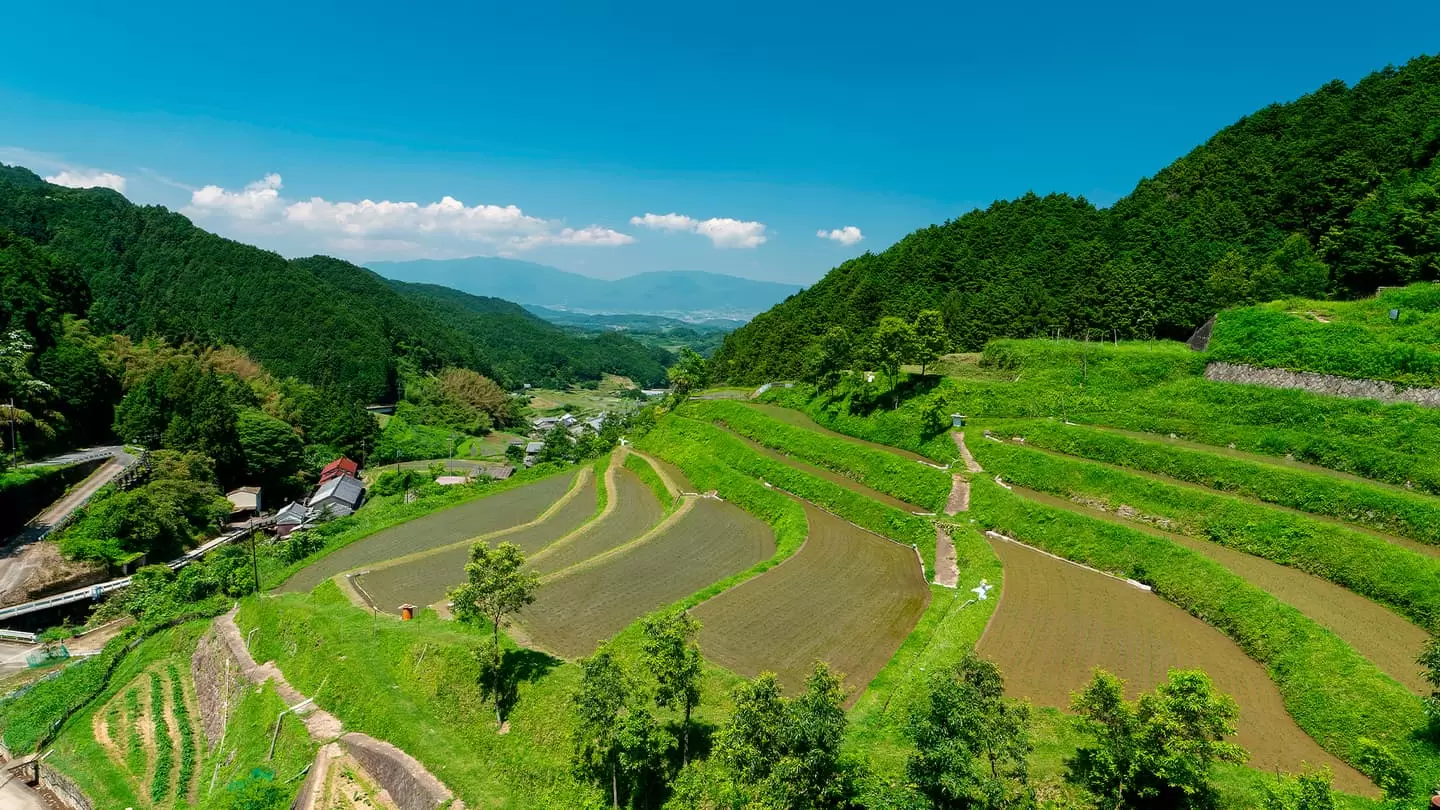 新潟県村上市の自然豊かな農村風景